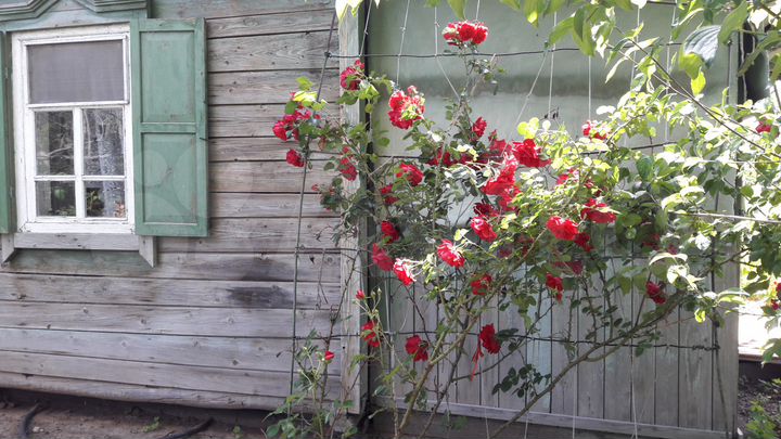 Дача 18 м² на участке 5,2 сот.