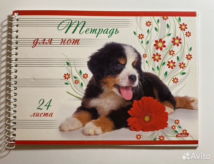 Классическая гитара для начинающих