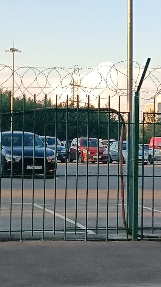 Renault Scenic: фото владельца