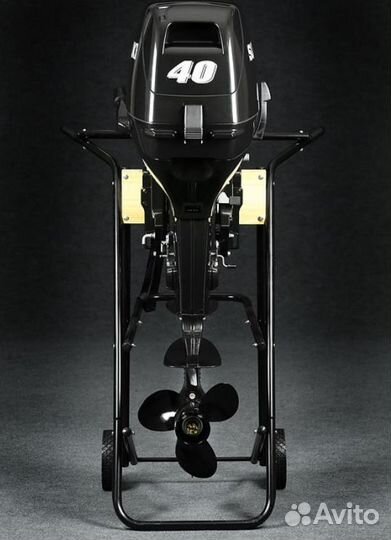 Лодочный мотор Suzuki (Сузуки) DT 40 WS