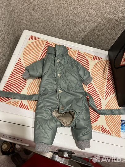 Одежда для собак мелких пород