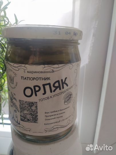 Орляк, веселка, грибы, чага