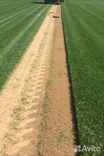 Рулонный газон Premium. Доставка, укладка