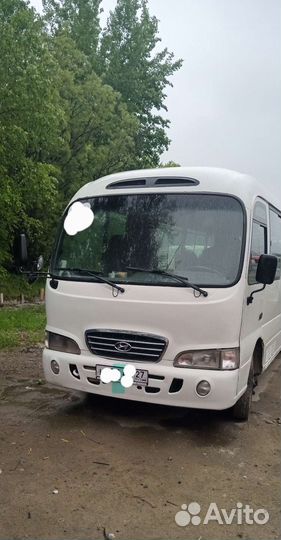 Аренда автобуса с водителем