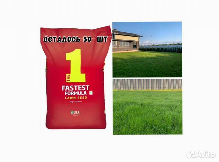 Семена газона DLF THE 1 универсальный