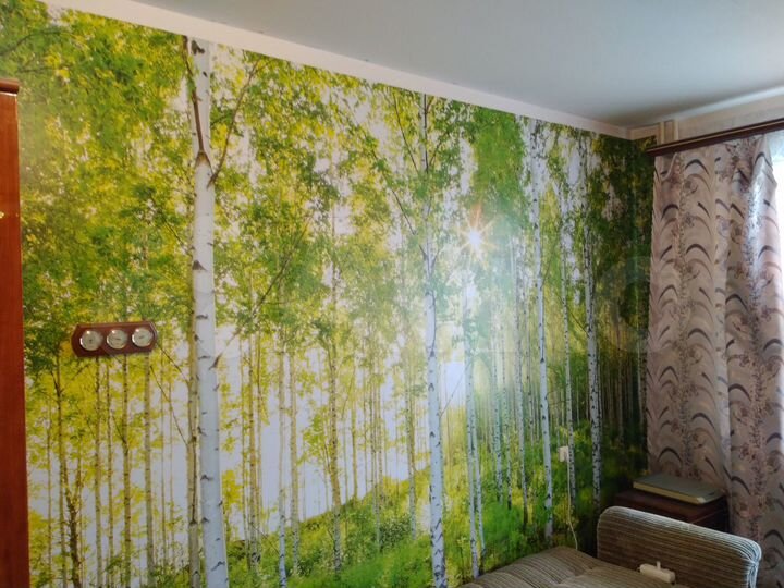 1-к. квартира, 42,1 м², 8/9 эт.