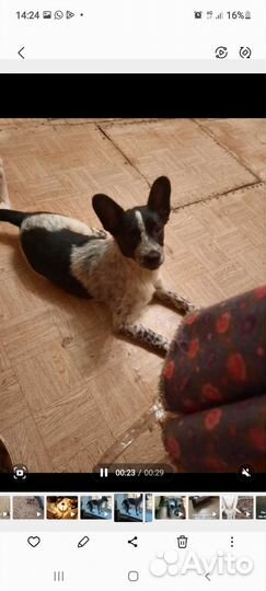 Малыш Диверсант