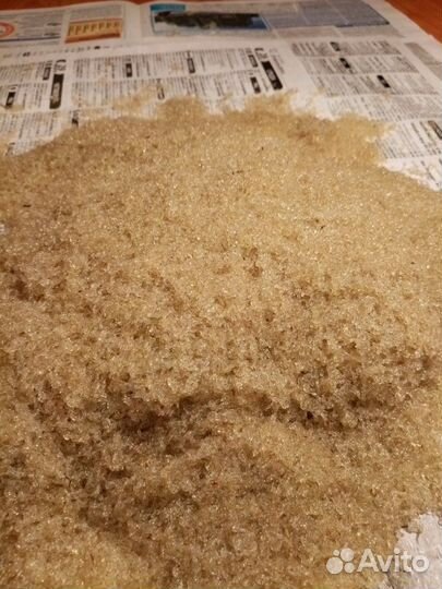 Коретра живая и замороженная