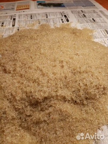 Коретра живая и замороженная