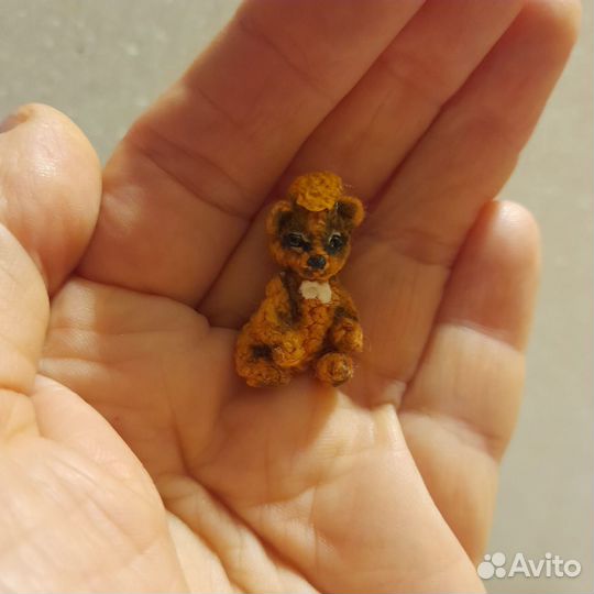 Мини мишка в скорлупе гредского ореха