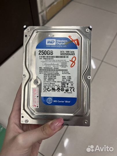 Жесткий диск Western Digital WD