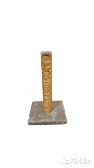 Когтеточка в наличии