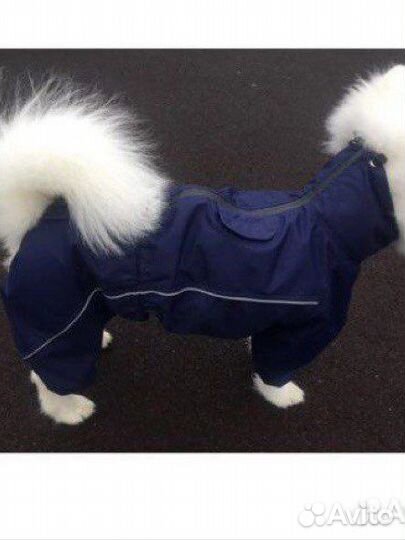 Дождевик rungo для собак