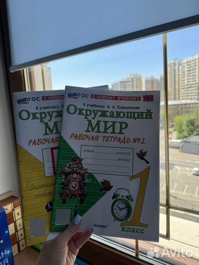 Рабочая тетрадь окружающий мир А.А. Плешакова