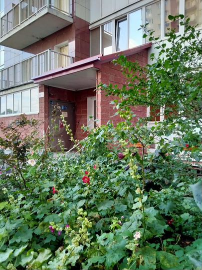 1-к. квартира, 41,1 м², 3/17 эт.