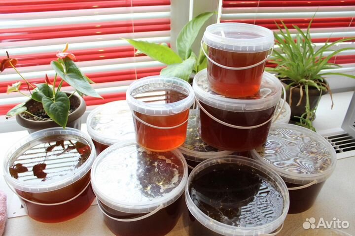 Мёд Алтайский цветочный/разнотравье/гречиха