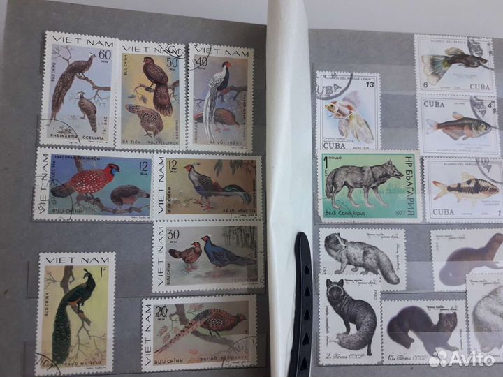 Почтовые марки СССР