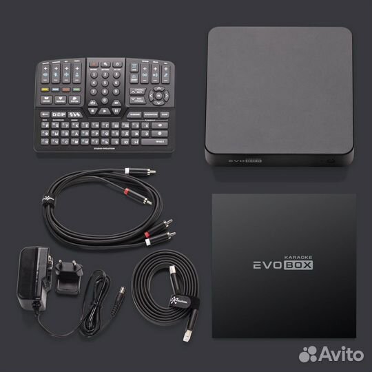 Evolution Evobox Black караоке система для дома