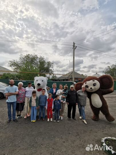 Экспресс поздравление