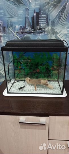 Аквариум