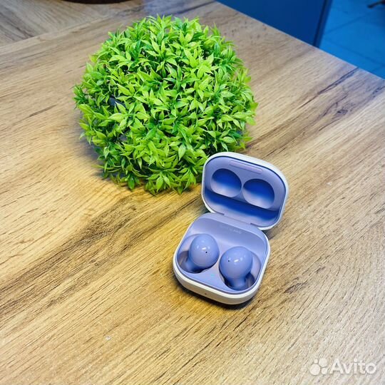 Наушники True Wireless Samsung Galaxy Buds2