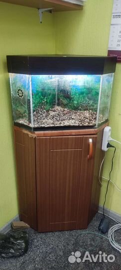 Аквариум с тумбой бу