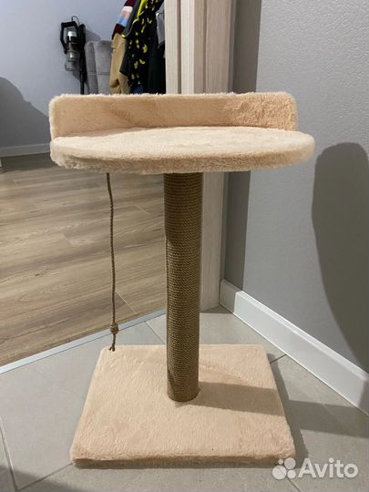 Переноска для кошек