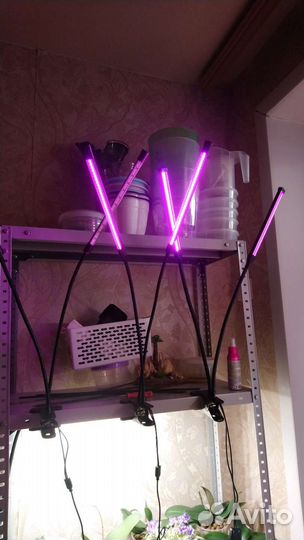 Фитосветильник для растений