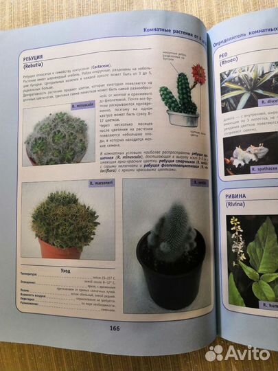 Книга Комнатные растения
