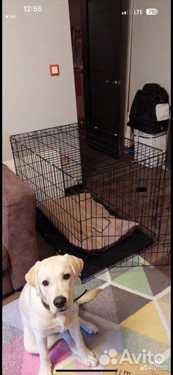 Клетка 5 для собак