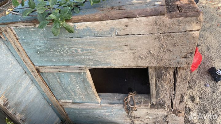 Будка, конура