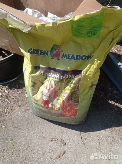 Семена газонной травы