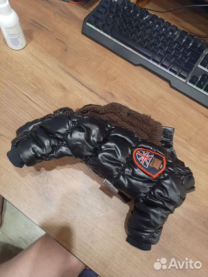 Одежда для собак