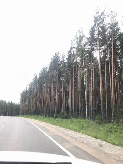 Участок 9,8 сот. (СНТ, ДНП)
