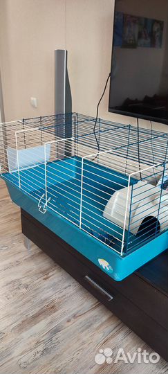 Клетка для грызунов очень большая