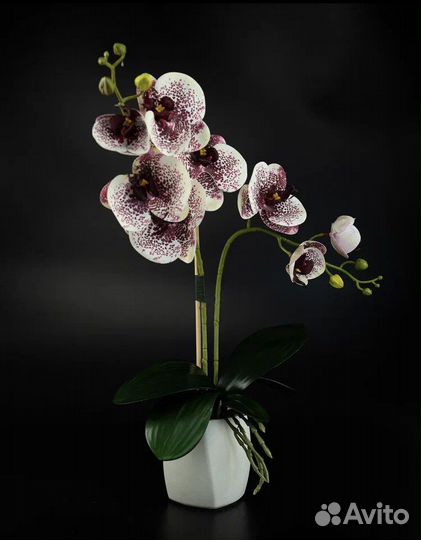 Орхидея фаленопсис искуственная в кашпо