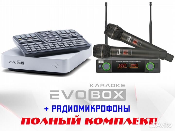 Караоке Evolution Evobox Silver + микрофоны