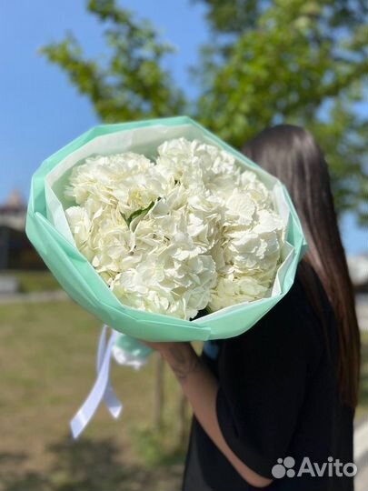 Белая гортензия, букет из гортензий