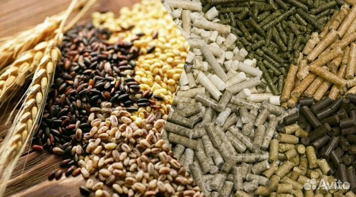 Готовые ООО купим