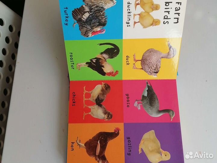 Первые слова на английском