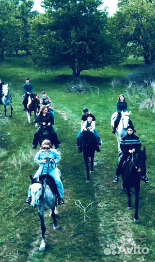Прокат лошадей