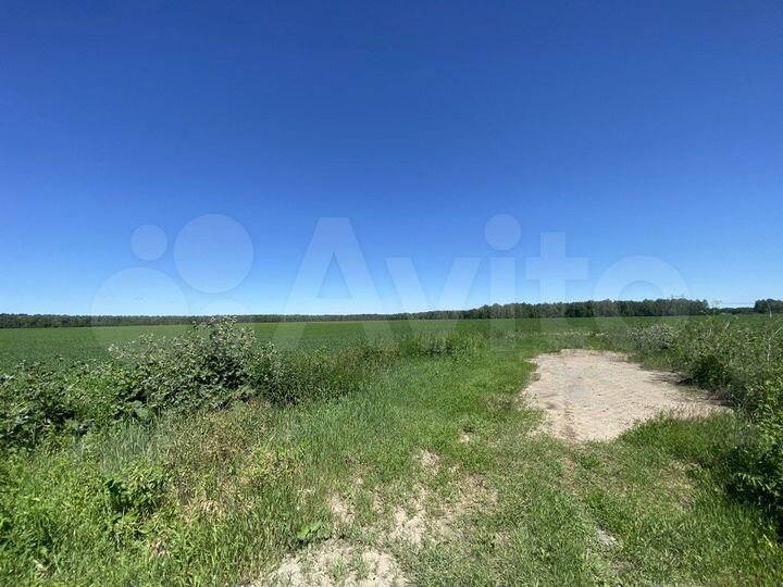 Участок 6,15 га (СНТ, ДНП)