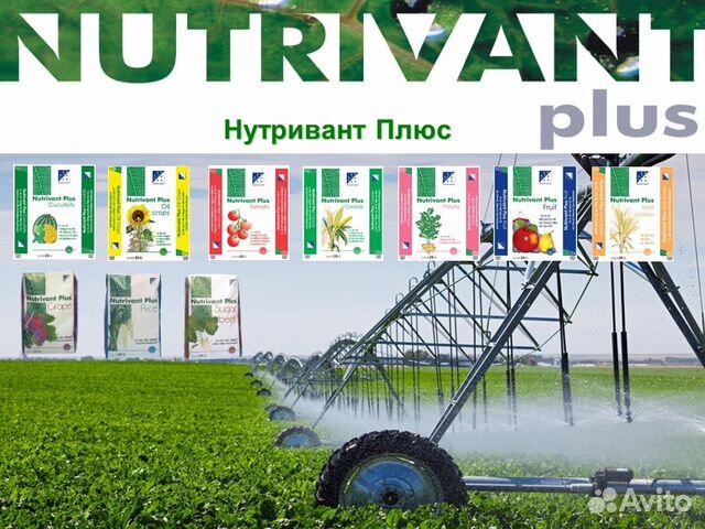 Авито кубань. Нутривант комнатные. Nutrivant Plus logo.