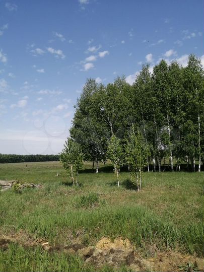 Участок 25 сот. (ИЖС)