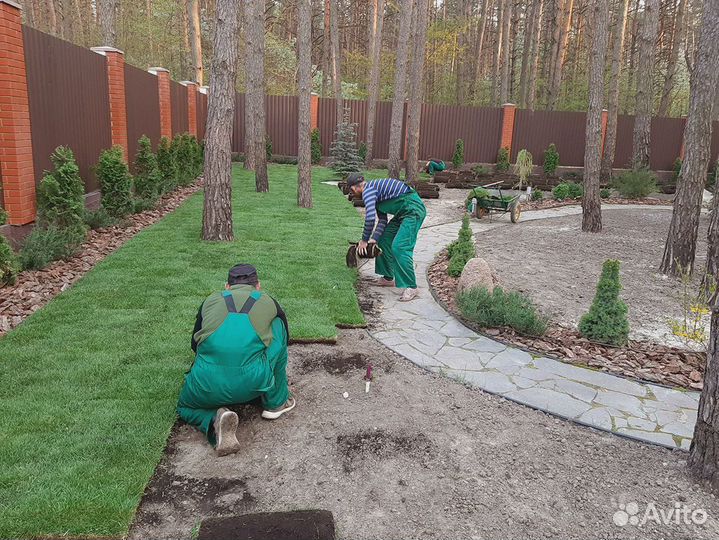 Рулонный газон под ключ