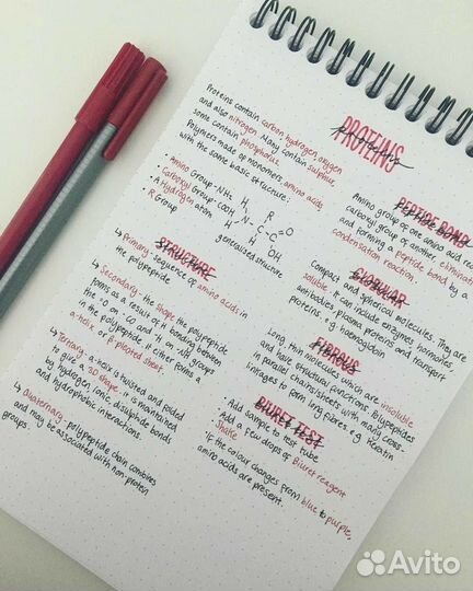 Перепишу лекции, рефераты, конспекты и т.п