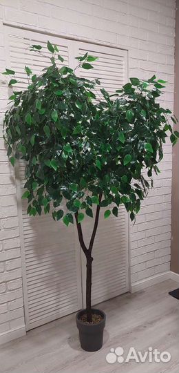 Искусственное дерево фикус