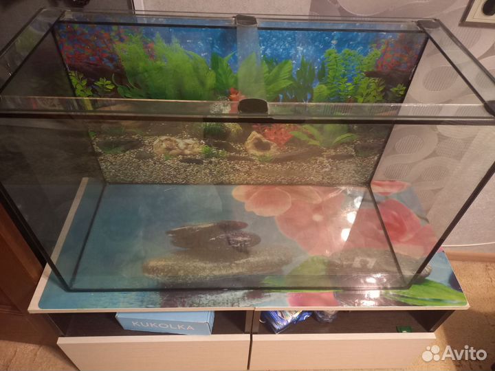 Аквариум