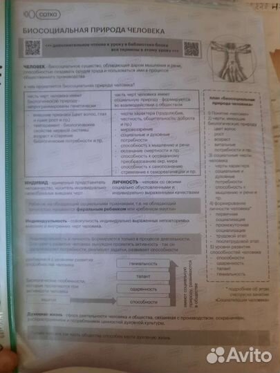 Конспекты сотки по обществознанию