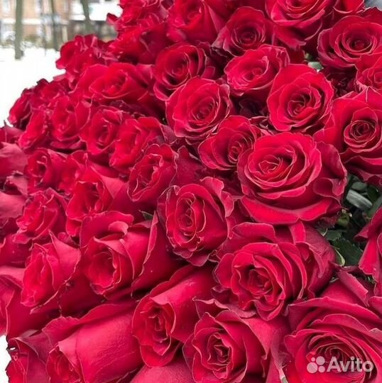 101 Роза Цветы Букеты 51 25 Роз Доставка